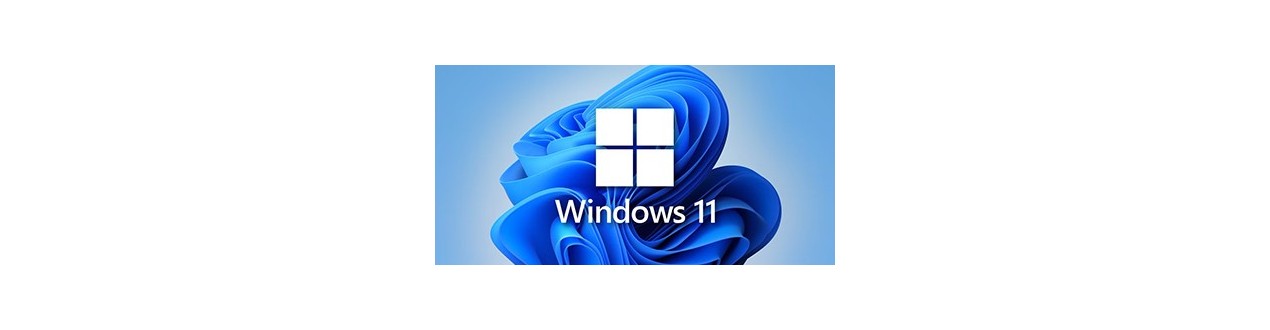 Licencias Windows